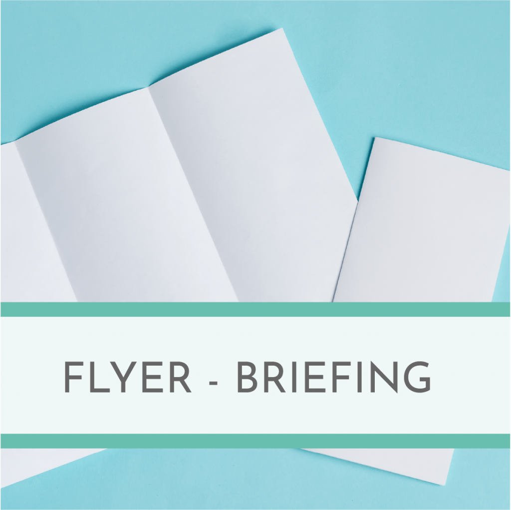 Thumbnail_Flyer_Briefing
